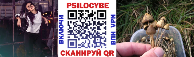 Галлюциногенные грибы GOLDEN TEACHER  Новое Девяткино 